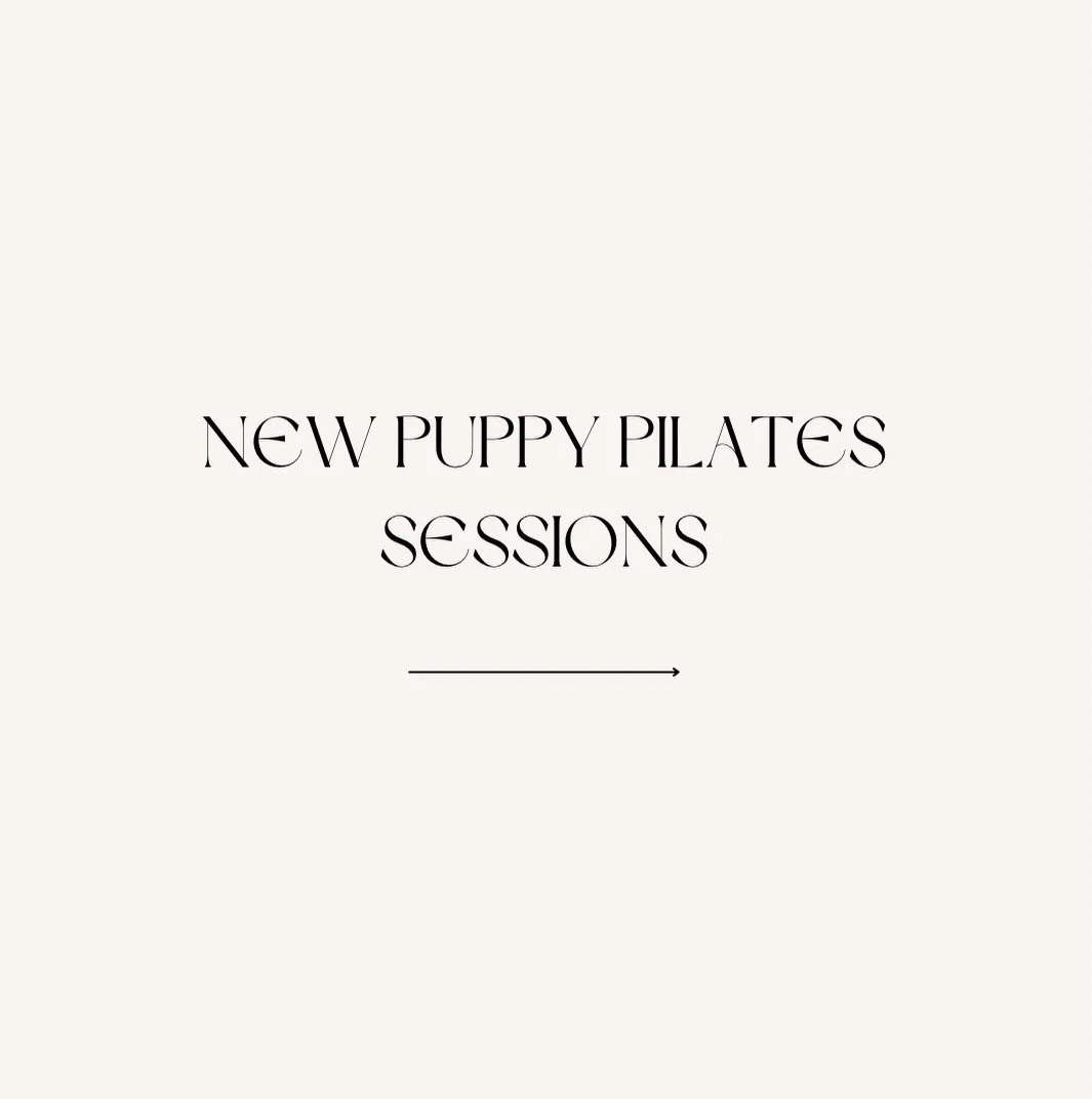 Did I hear 12 Groodle puppies?! That&rsquo;s right! 12 Groodle puppies are coming to Newcastle! 🤩

Groodles are Golden Retriever x Poodle puppies or as some of you may know them&hellip;GOLDENDOODLES! 

We can&rsquo;t wait to see you all there! Book 
