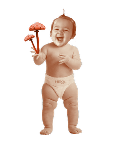 Hiro MycoDigesitble Biodegradable Diapers