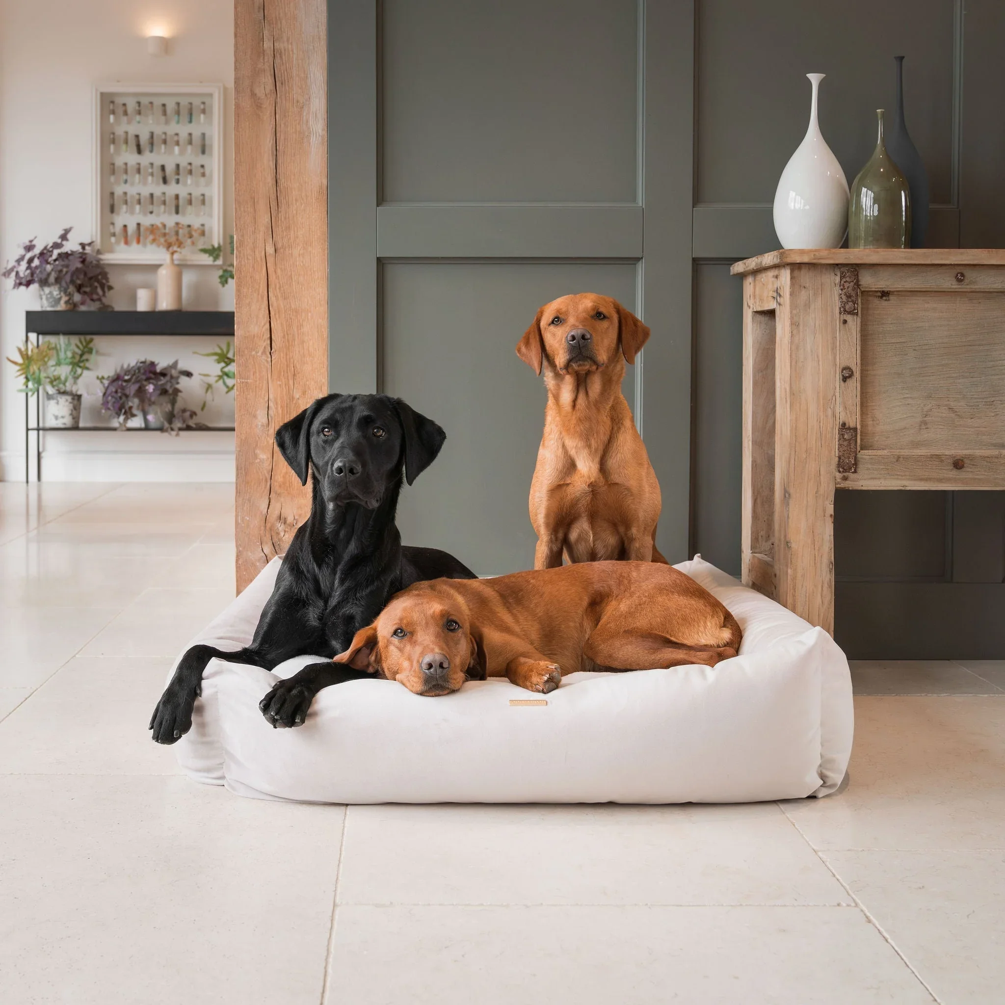 Four dogs sitting and lying on a white dog bed in a modern indoor setting, with a wooden column and cabinet, and decorative vases and plants in the background.