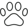 a dog's paw