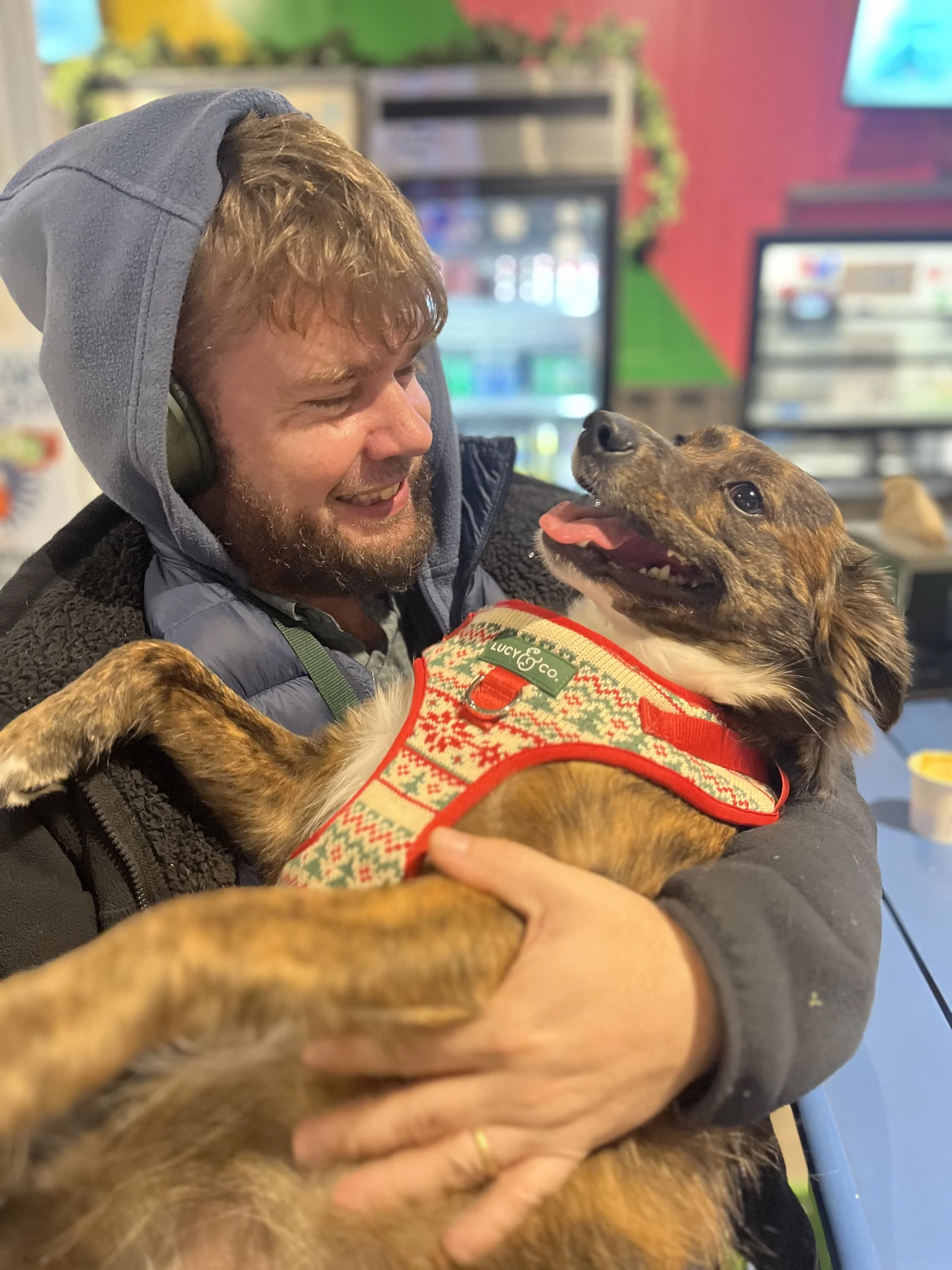 A man with sunglasses and a hoodie holding a happy brindle dog wearing a holiday sweater, inside a colorful room with screens and supplies in the background.