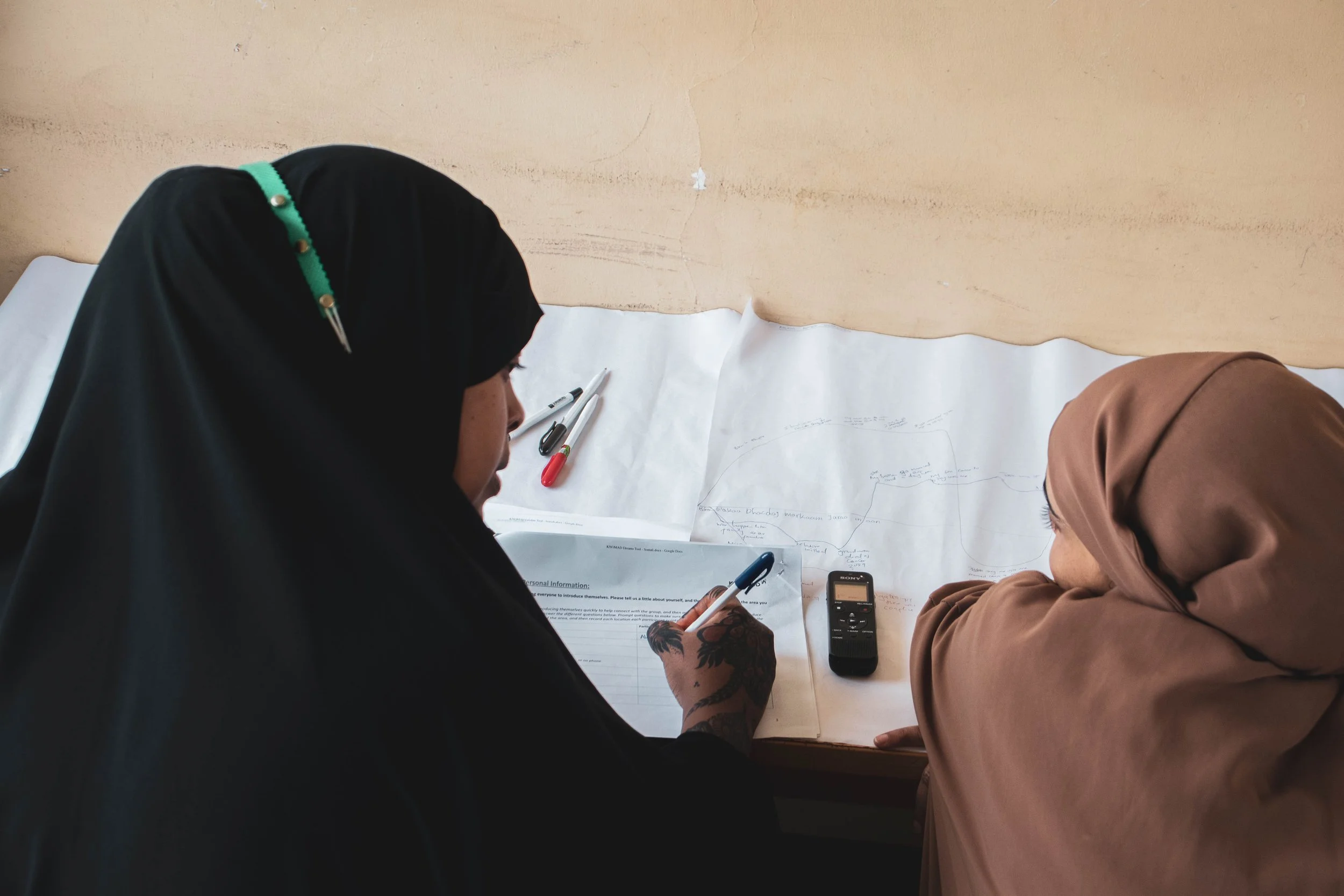 Data collection in Eastleigh 5.jpg