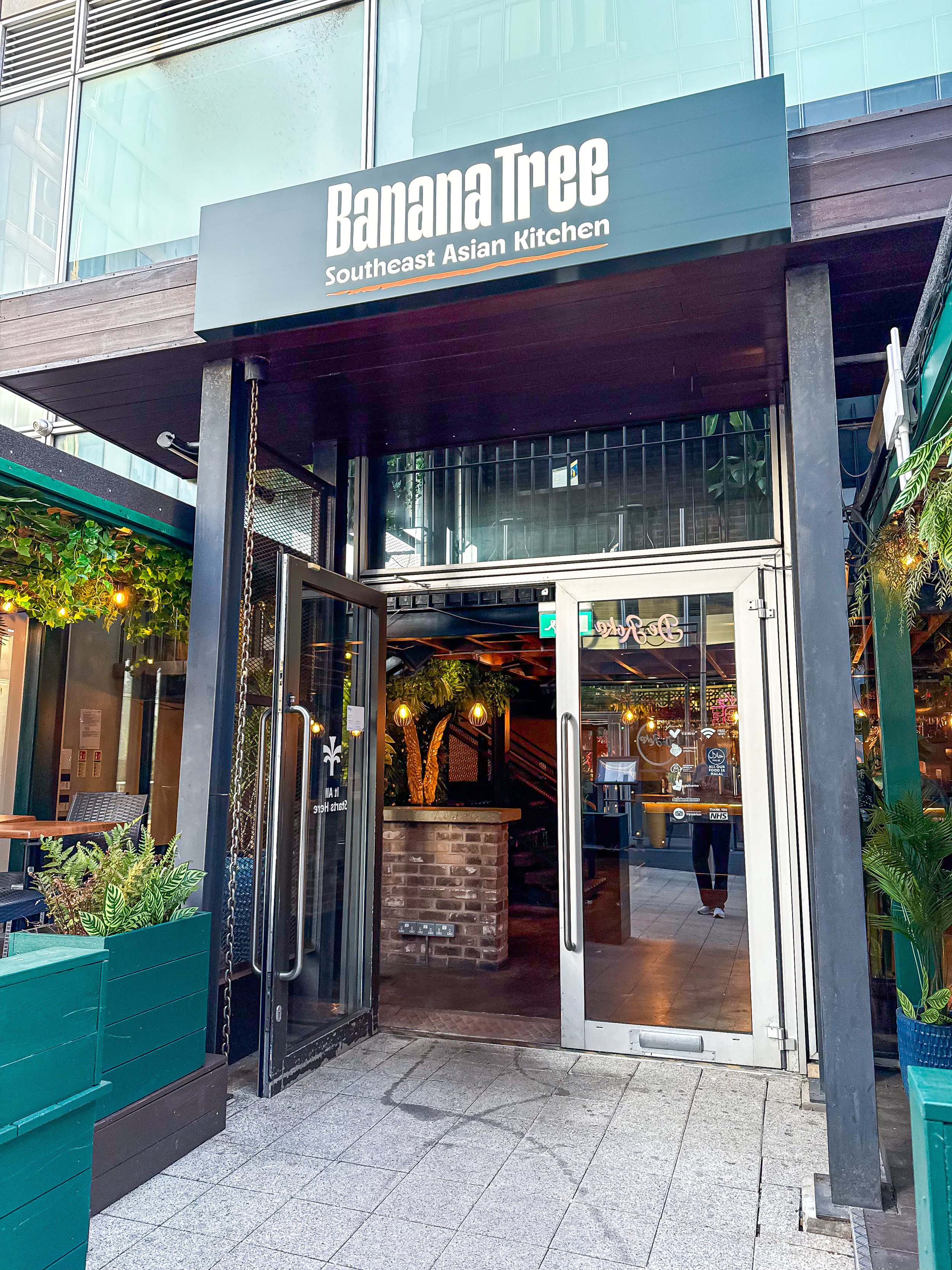 Banana Tree