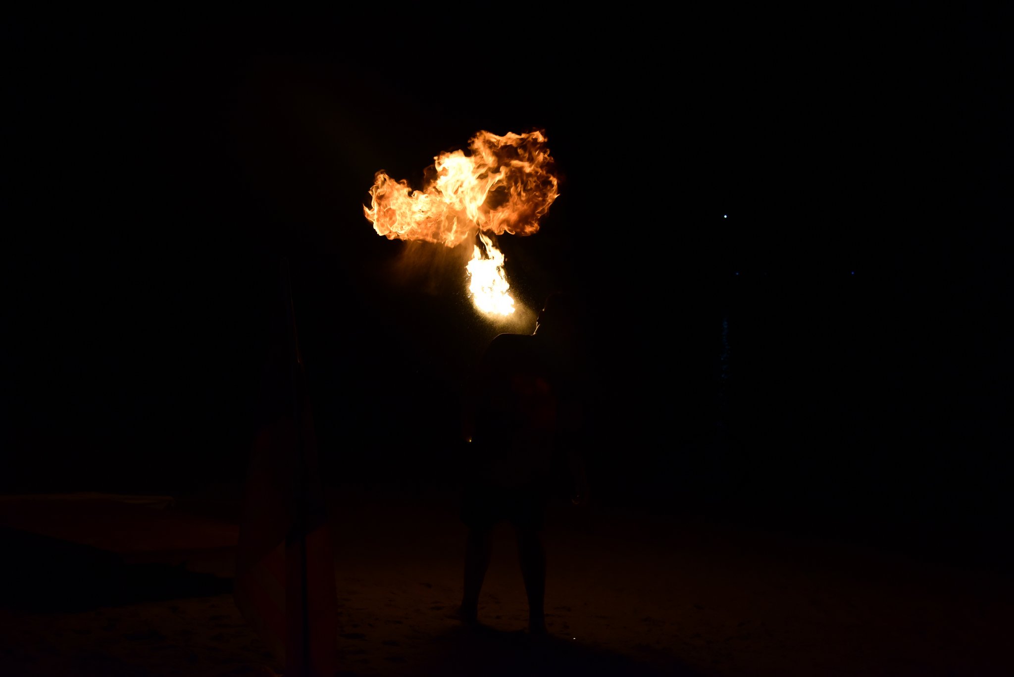 The Flame Phoenix