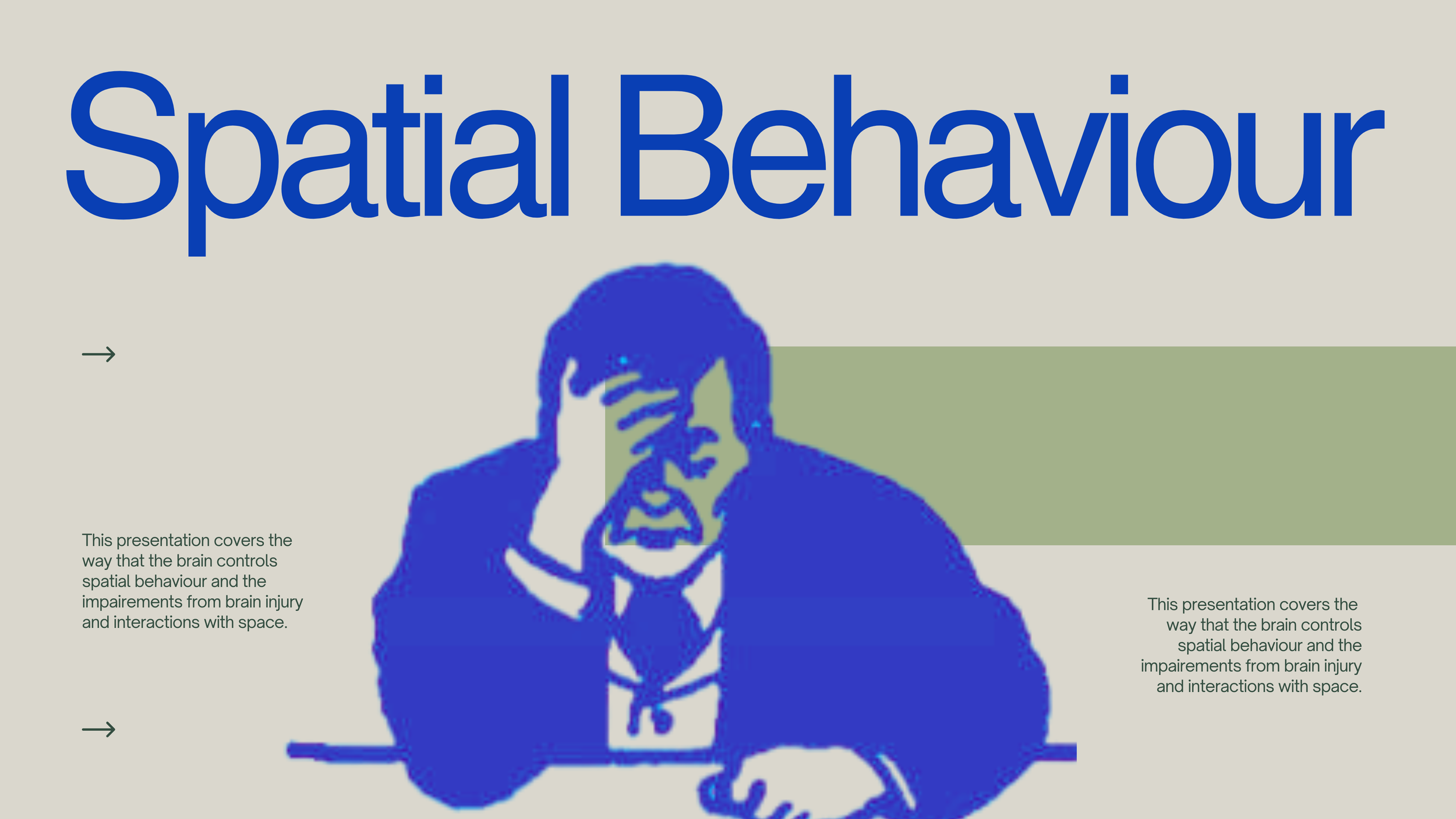 Spatial Behaviour Deck.png