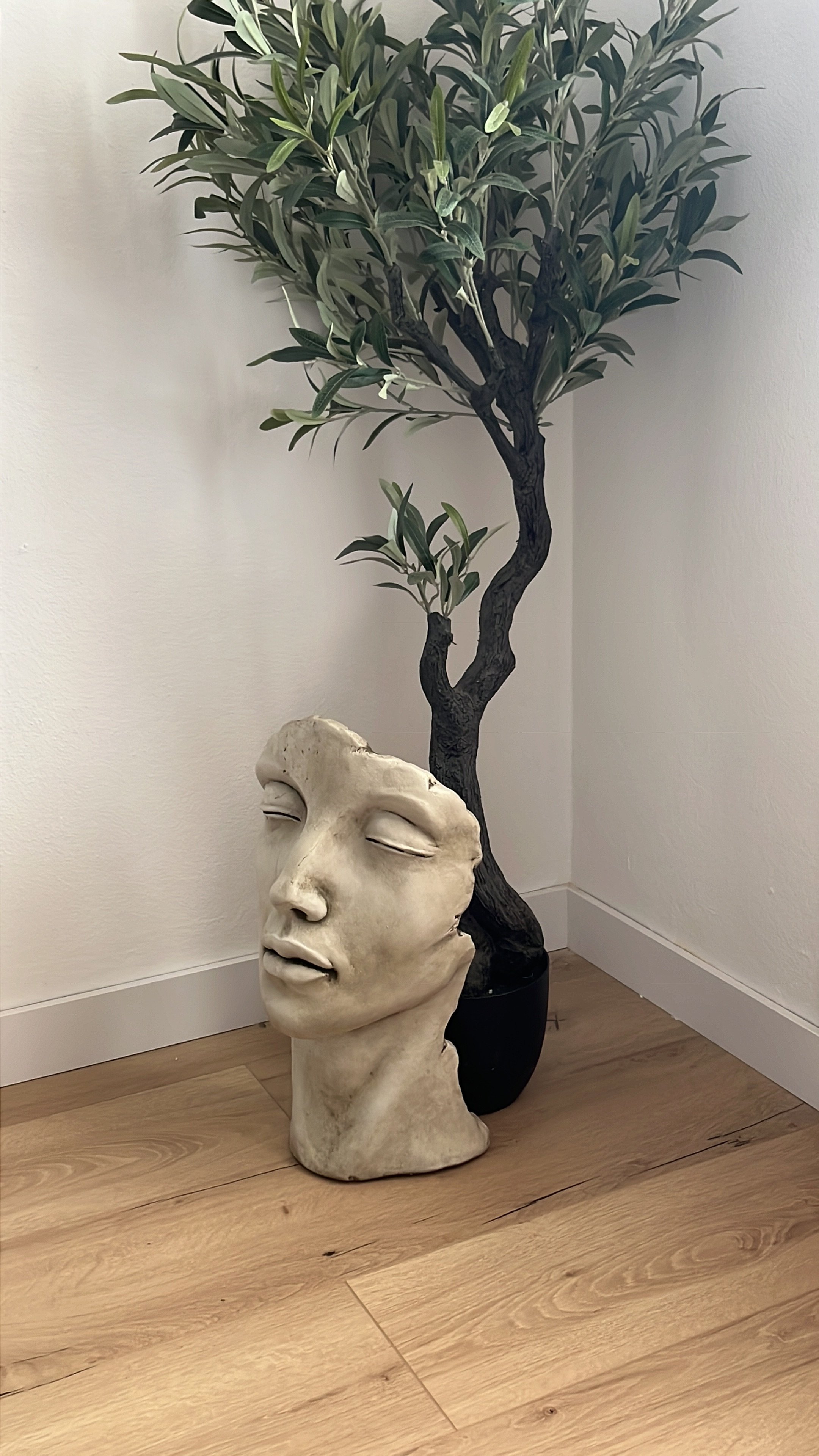 Planta en maceta decorativa con rostro de escultura en primer plano y suelo de madera.