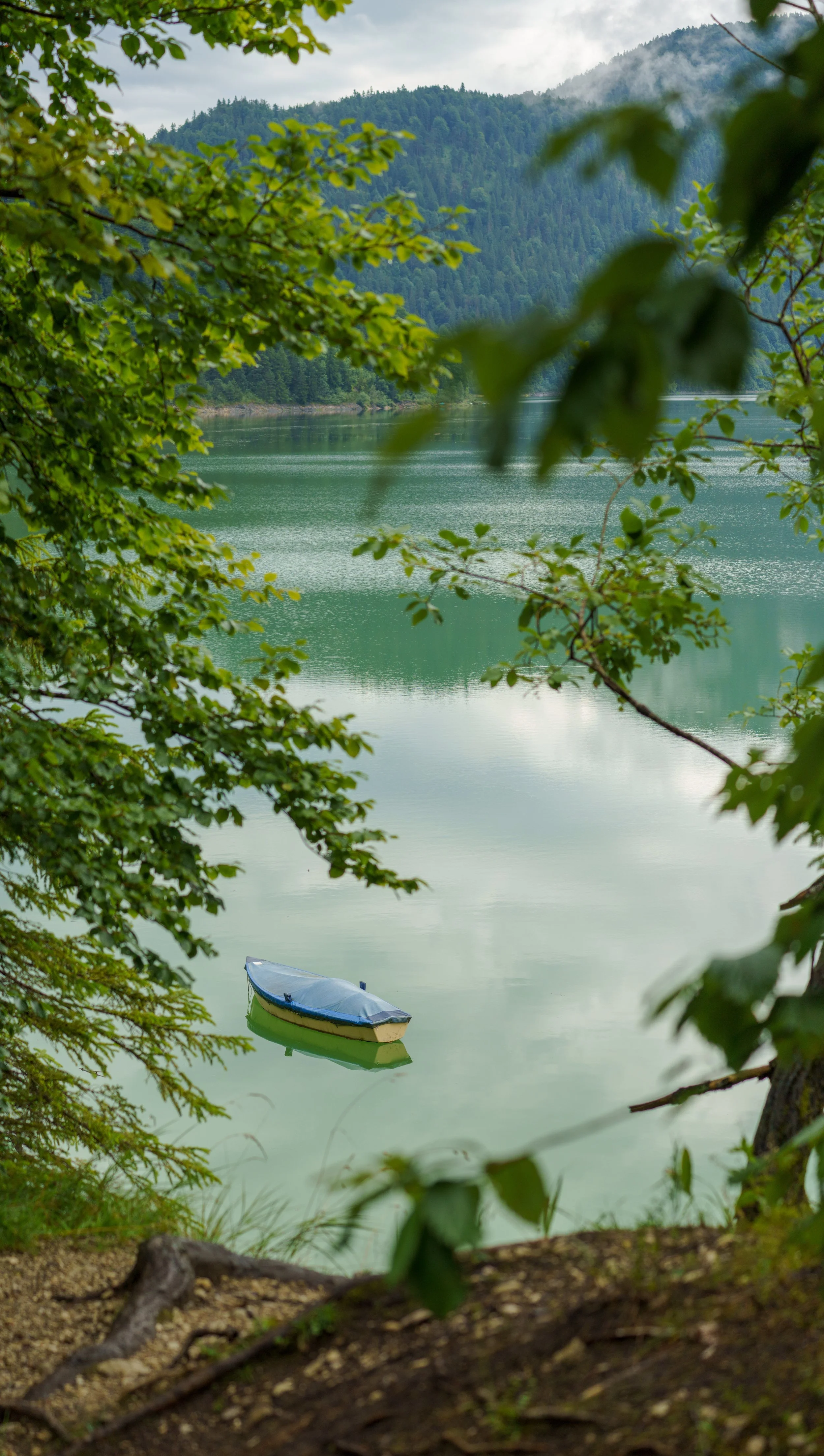 Panorama-4.jpg
