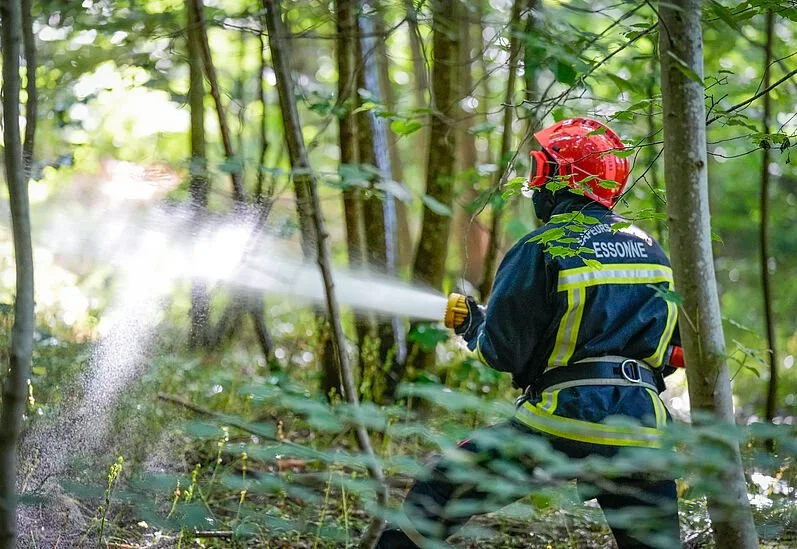 Feux en Essonne : le Département agit face à un nouveau risque