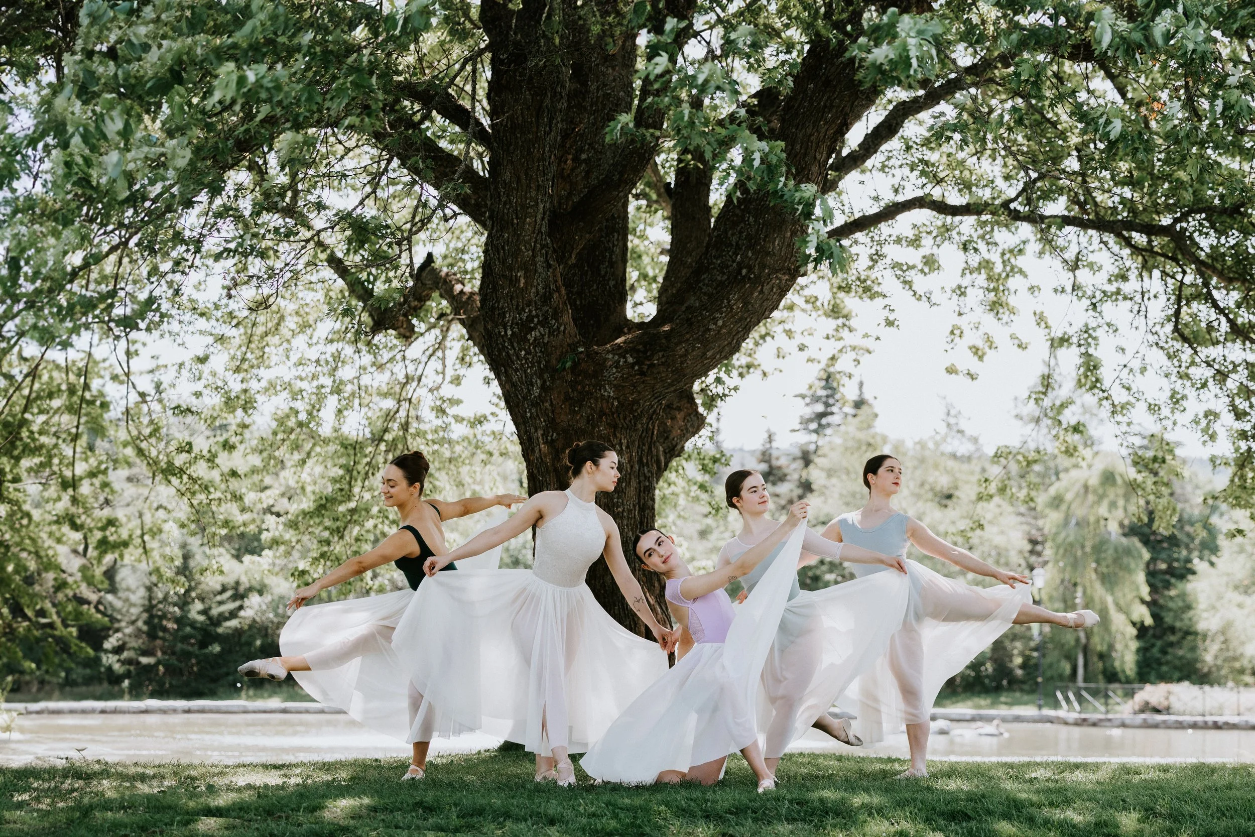 Ballet in the Park (2024)