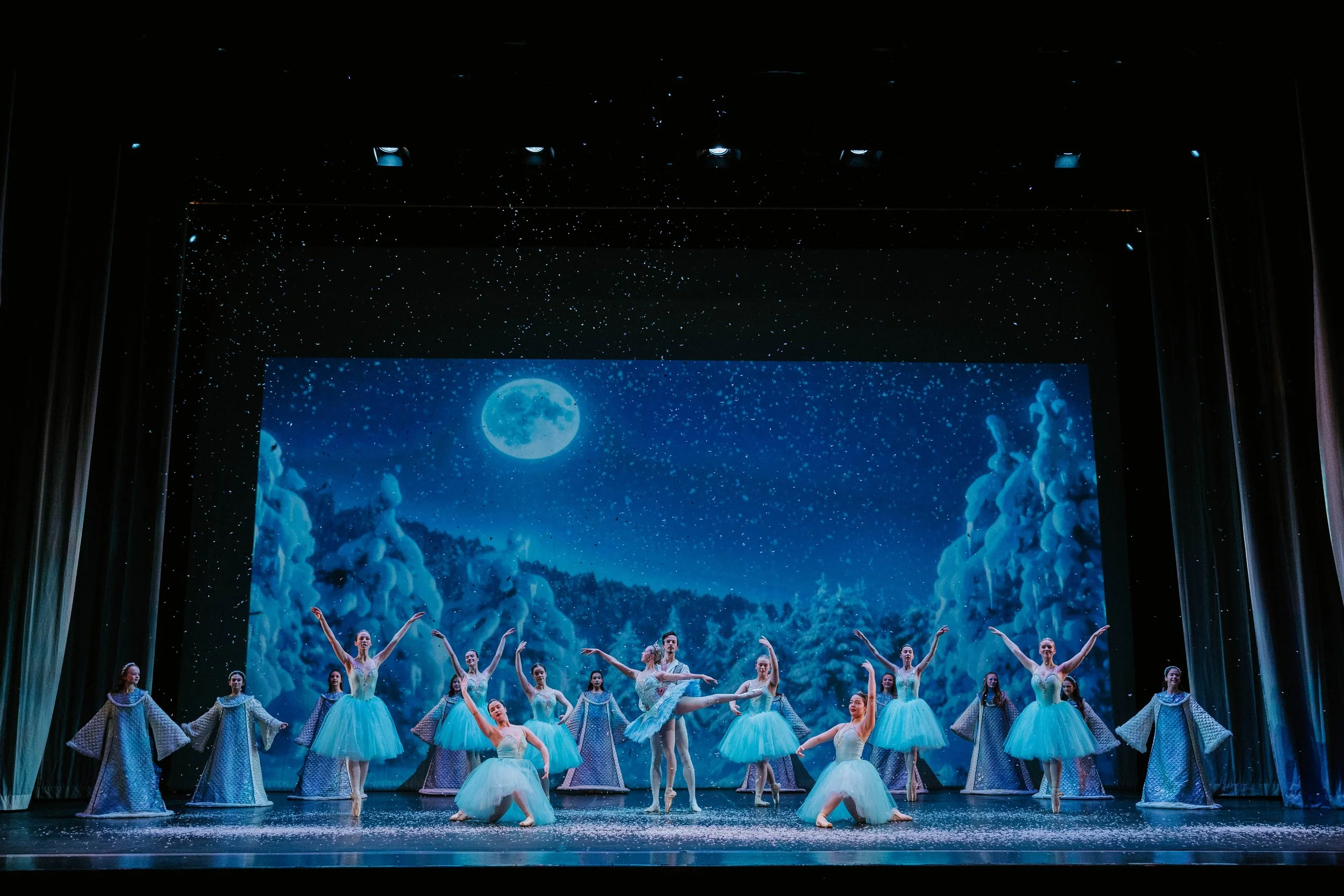 Snow Scene (2022)