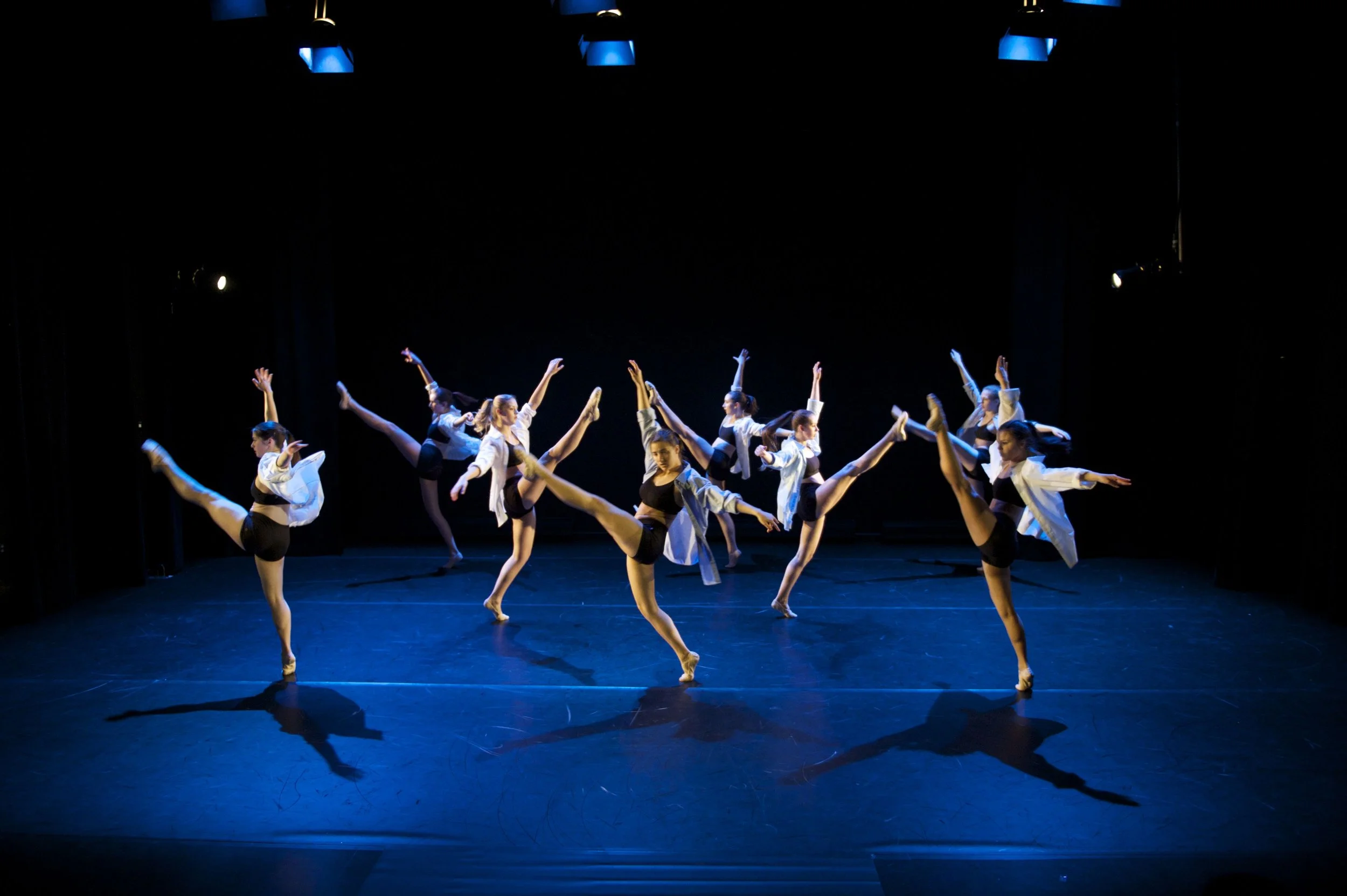 Spring Showcase (2017)