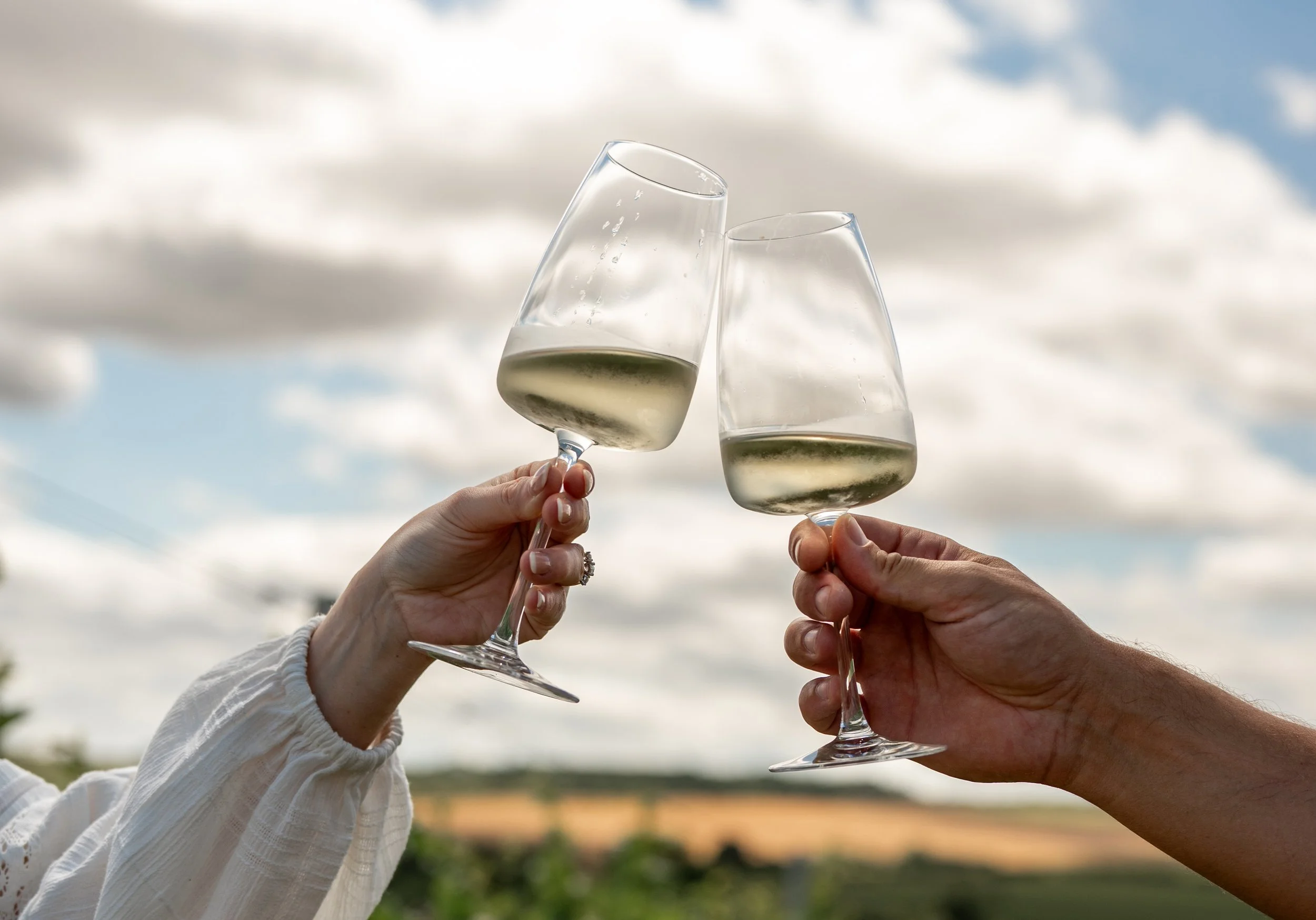 Rowles_Vineyard_Launch-038.jpg
