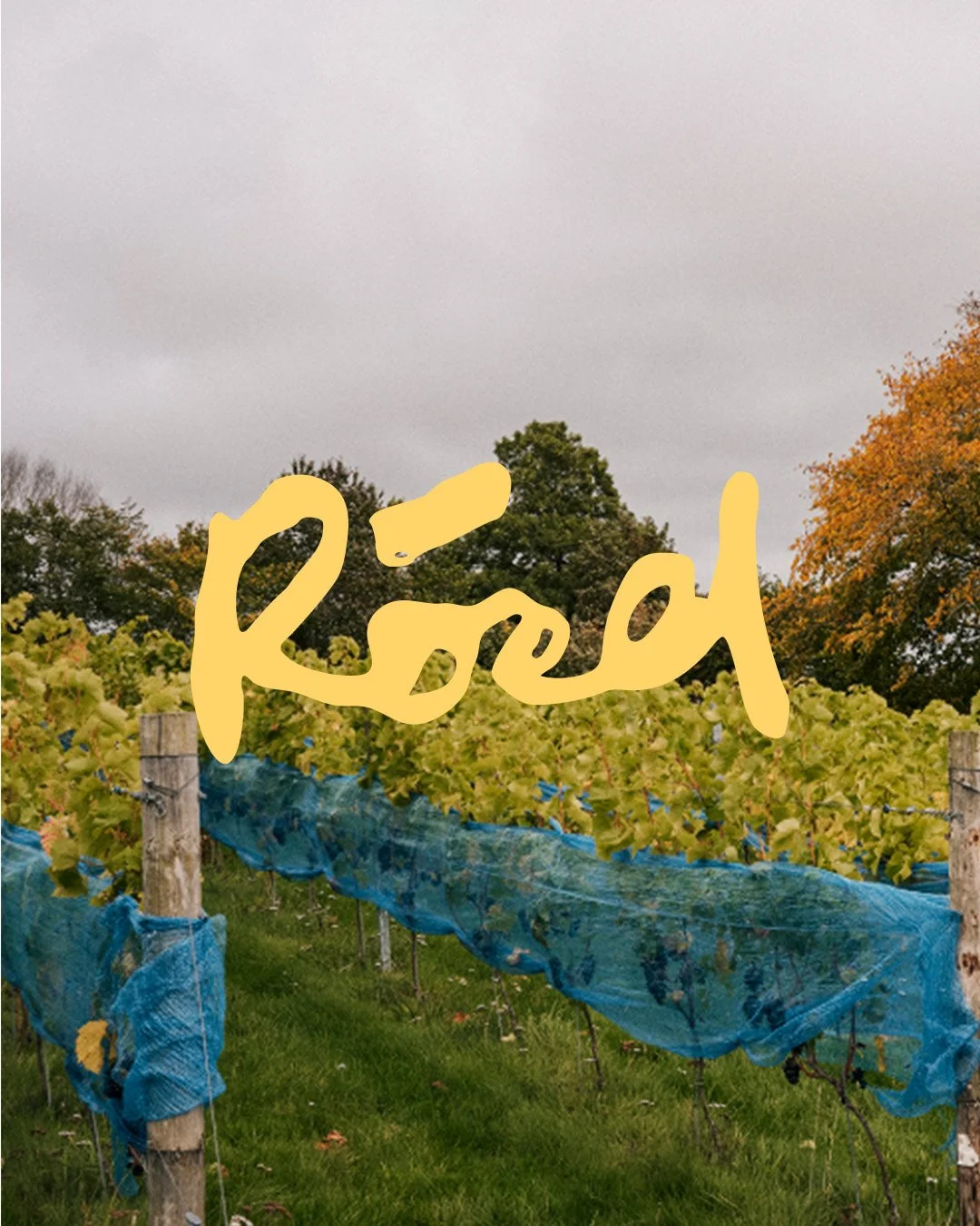 Rōed