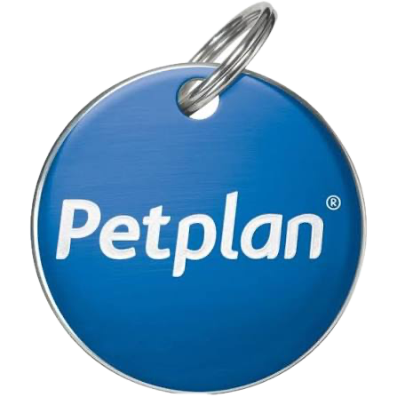Close-up of a blue Petplan pet insurance tag with white text and a metal ring at the top.