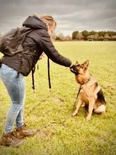 A woman in a black jacket and blue jeans is kneeling on a grassy field, training a large German Shepherd dog that is sitting attentively in front of her. The background shows trees and an overcast sky.