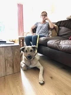 A woman sitting on a sofa with a dog lying on the floor in front of her in a living room.
