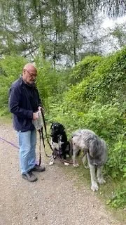 Man with three dogs on a wooded trail