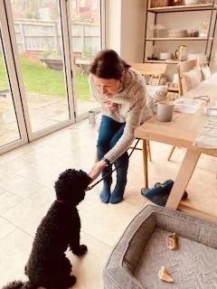 A woman is playing tug-of-war with a black dog inside a bright kitchen, near a sliding glass door.