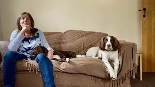 Woman sitting on a brown couch with a large white and brown dog lying beside her, in a room with a wooden door.