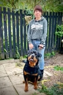 A woman with short brown hair wearing a gray hoodie and jeans standing outdoors with a Rottweiler dog sitting in front of her on a stone patio, in front of a black picket fence and green foliage.