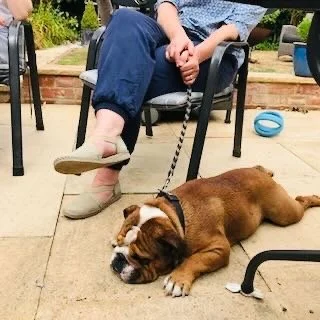 A person sitting outdoors on a chair with their legs crossed at the ankles, wearing blue pants and beige shoes, holding a leash attached to a brown and white puppy lying on the ground, resting with its eyes closed.