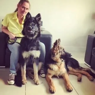 A woman with two German Shepherd dogs sitting and lying on the floor indoors.