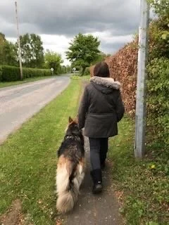 Person walking a dog along a grassy sidewalk on a cloudy day.