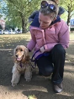 A woman crouching down with a small dog on a leash in a park with trees and cars in the background