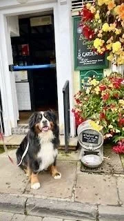 A dog sitting outside a shop entrance surrounded by flowers and a small outdoor heater.