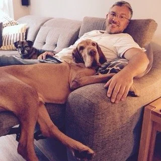 A man relaxing on a gray sofa with two dogs, a black and white one and a large brown one lying across his lap.