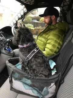 A man with a beard wearing a black cap and green jacket sitting in a car with a black dog in a carrier on his lap, the dog wearing a harness.