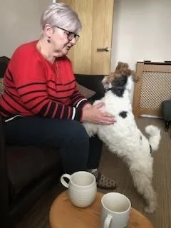 An older woman with short gray hair and glasses, wearing a red and black striped sweater, sitting on a couch, feeding or playing with a large black and white dog that is standing on its hind legs.