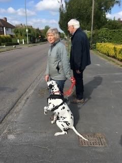 An elderly woman and man walking on a sidewalk with a Dalmatian dog sitting in front of them.