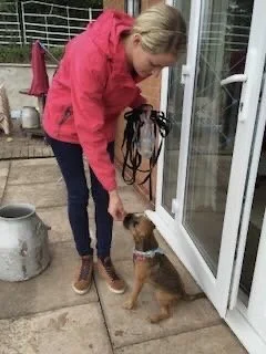 Woman in pink jacket bending down to hold a small puppy on a leash outside glass door.