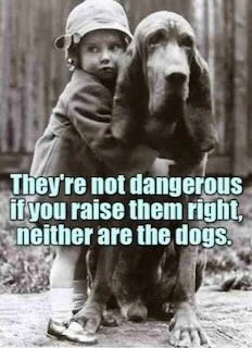 A young child hugging a large dog with a forest background, with text stating, "They're not dangerous if you raise them right, neither are the dogs."