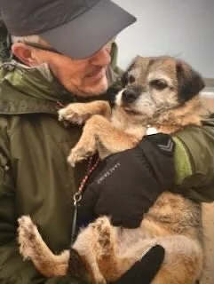 Person holding a small brown and tan dog with a black face patch.