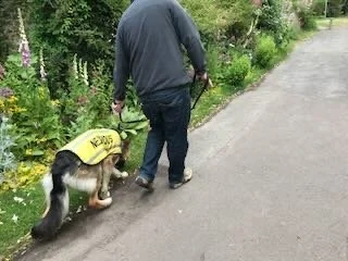 A person walking with a dog on a leash along a paved path in a green outdoor area.