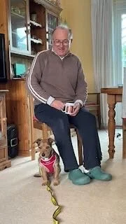 An elderly man with glasses sitting on a chair in a living room, holding a book, with a small dog wearing a pink harness sitting beside him.