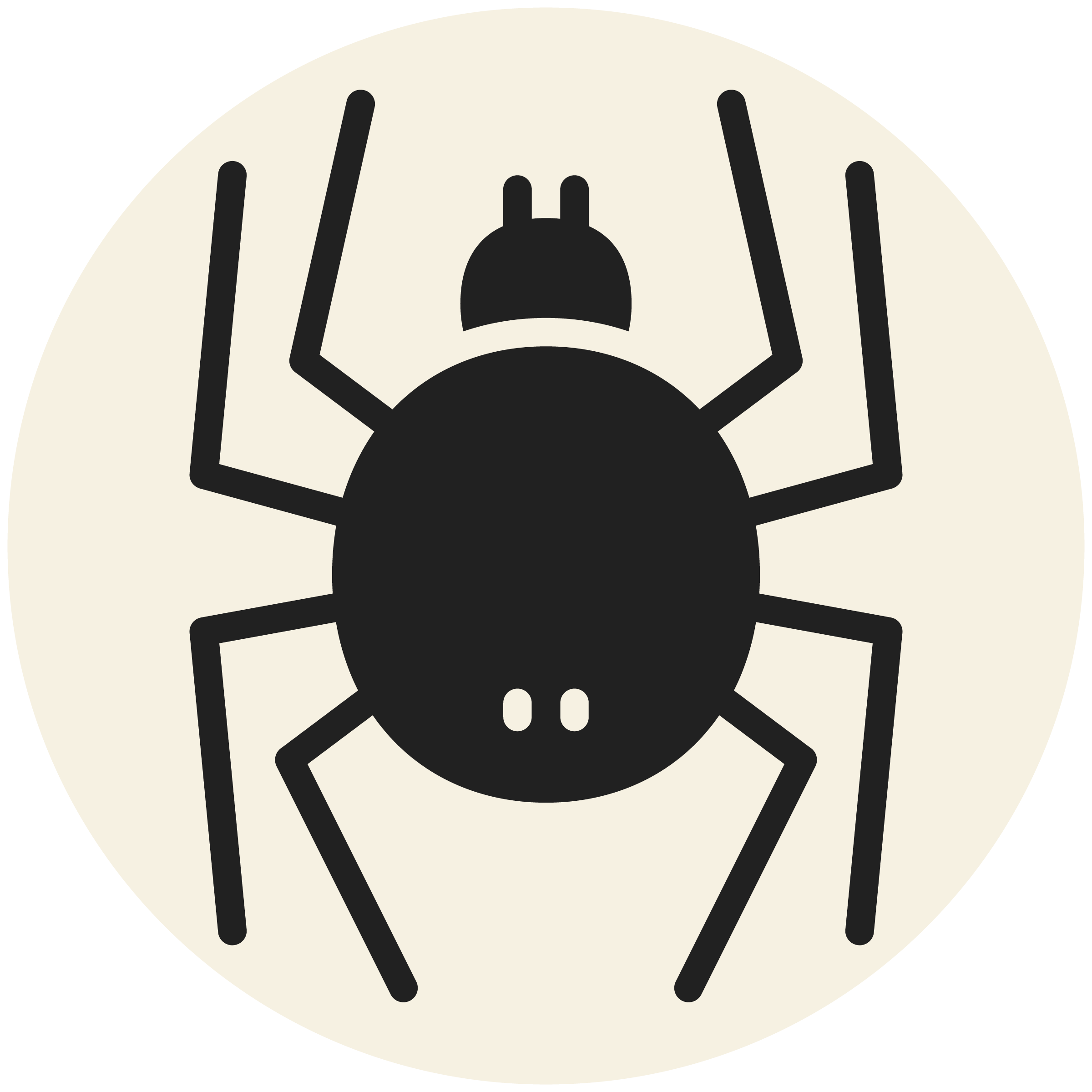RDPest Control Solid Icons-Grey_Spider-.png