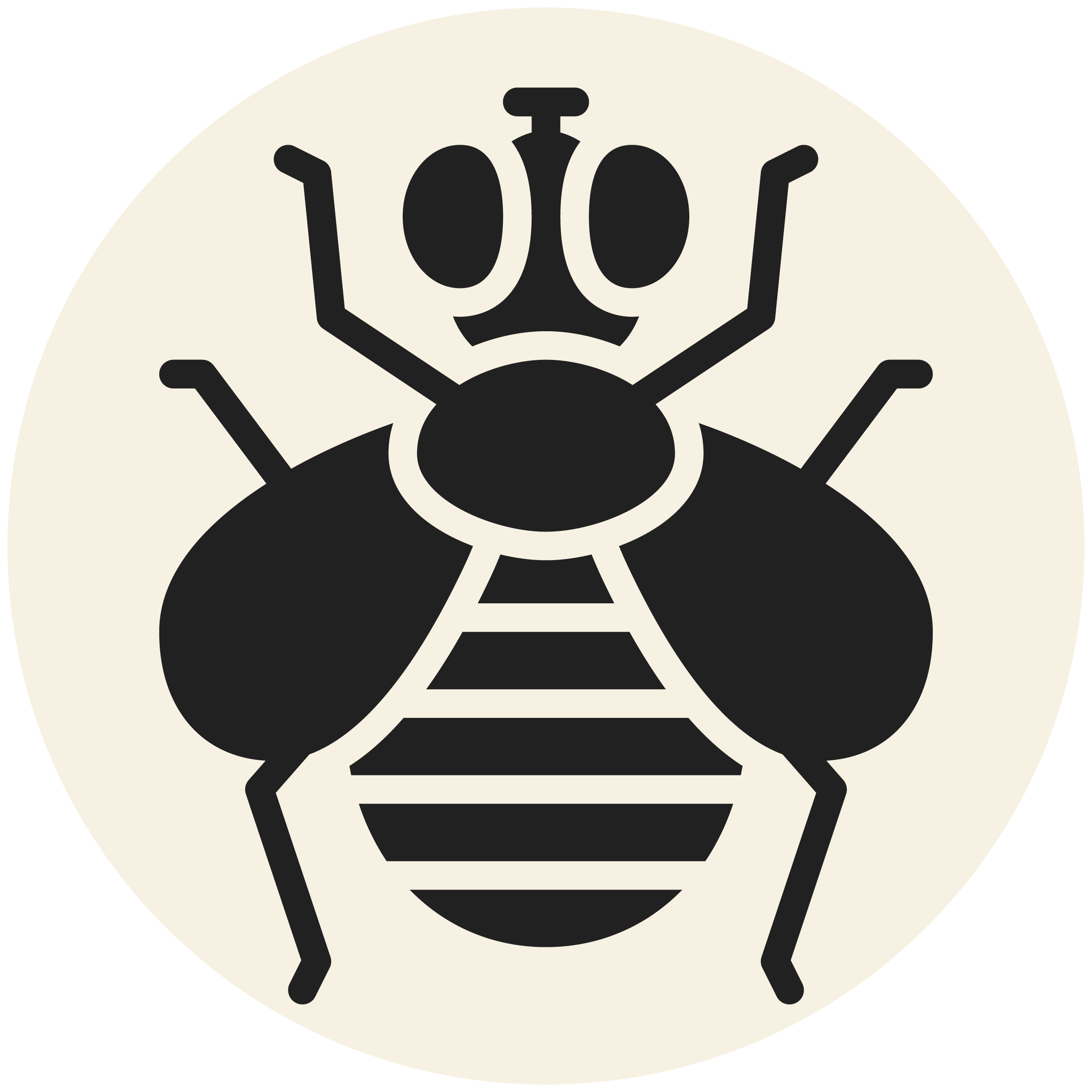RDPest Control Solid Icons-Grey_Fly-.png