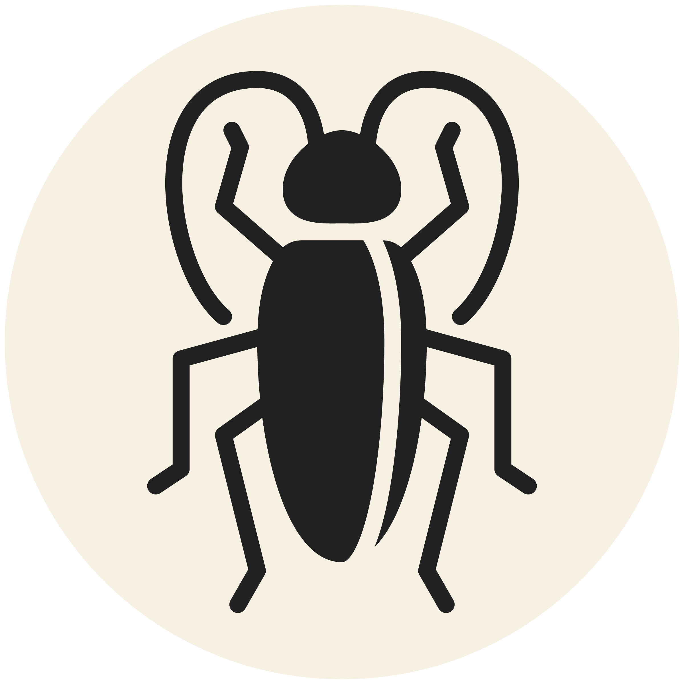 RDPest Control Solid Icons-Grey_Cockroach-.png