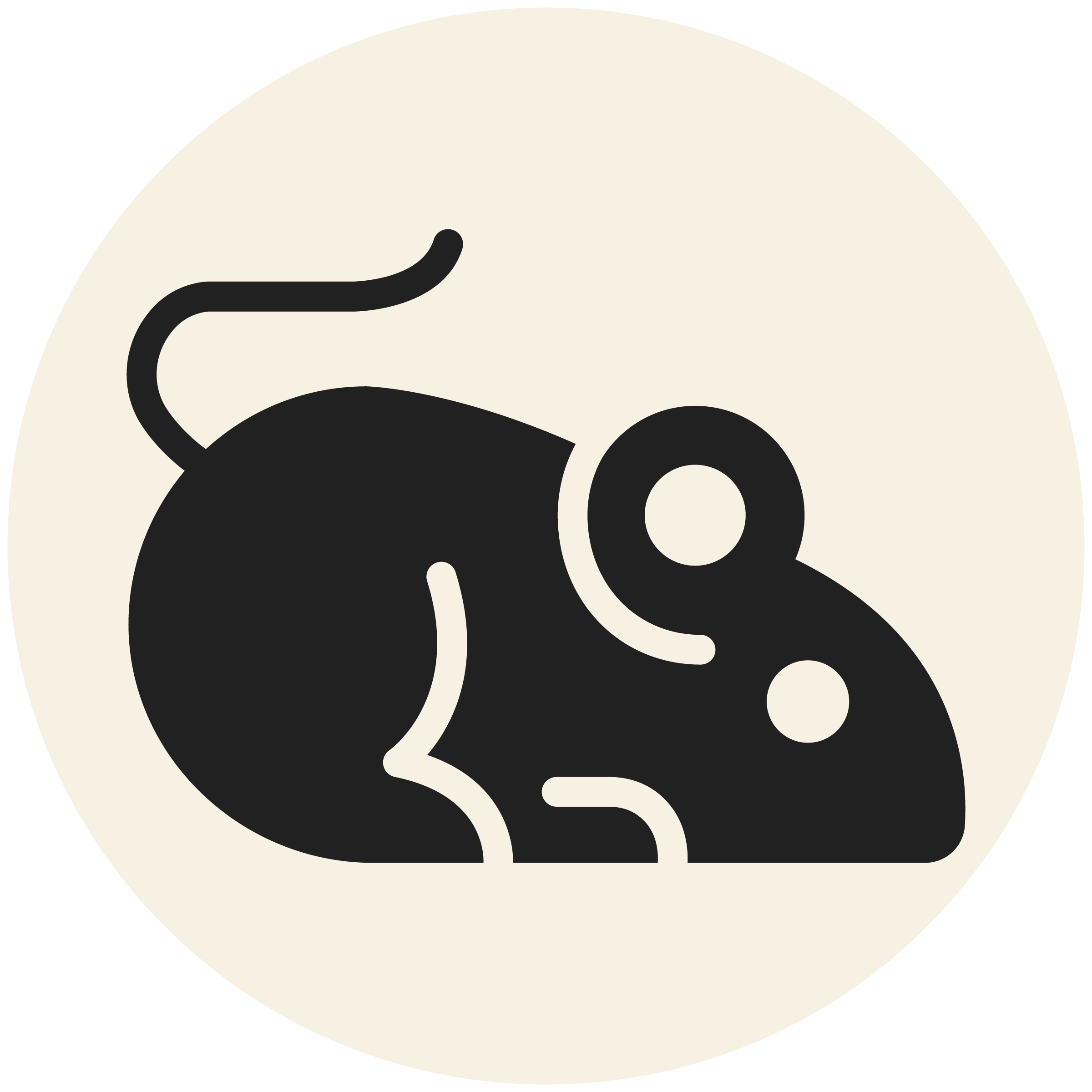 RDPest Control Solid Icons-Grey_Rat-.png