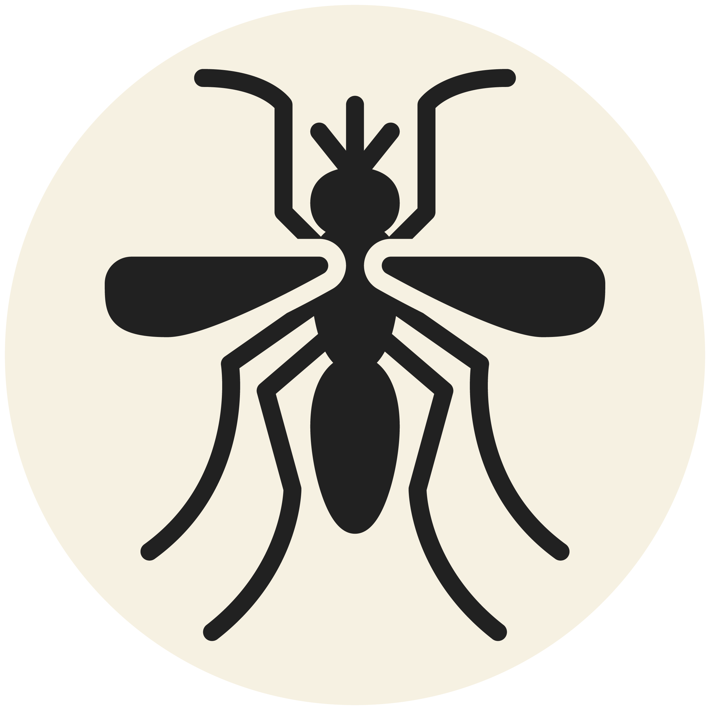 RDPest Control Solid Icons-Grey_Mosquito-.png