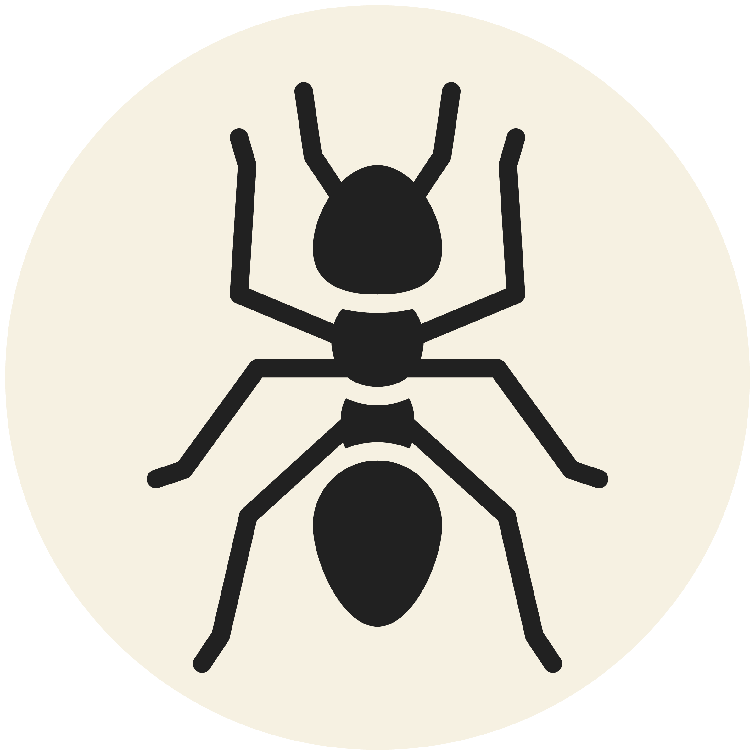 RDPest Control Solid Icons-Grey_Ant-.png