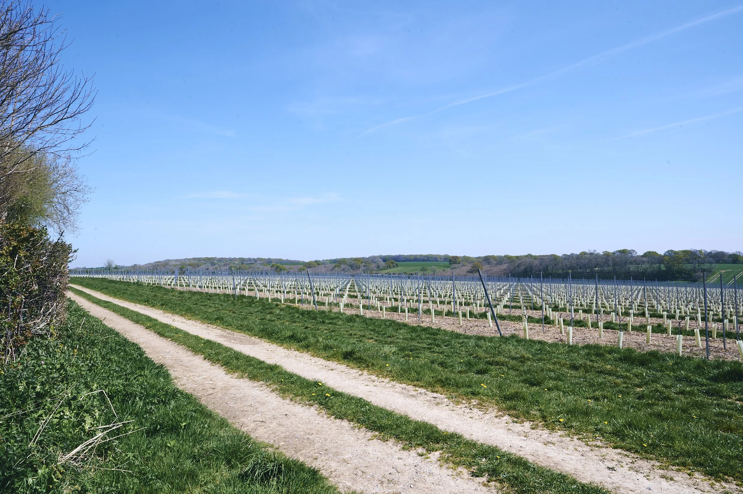 Langham Wine Estate