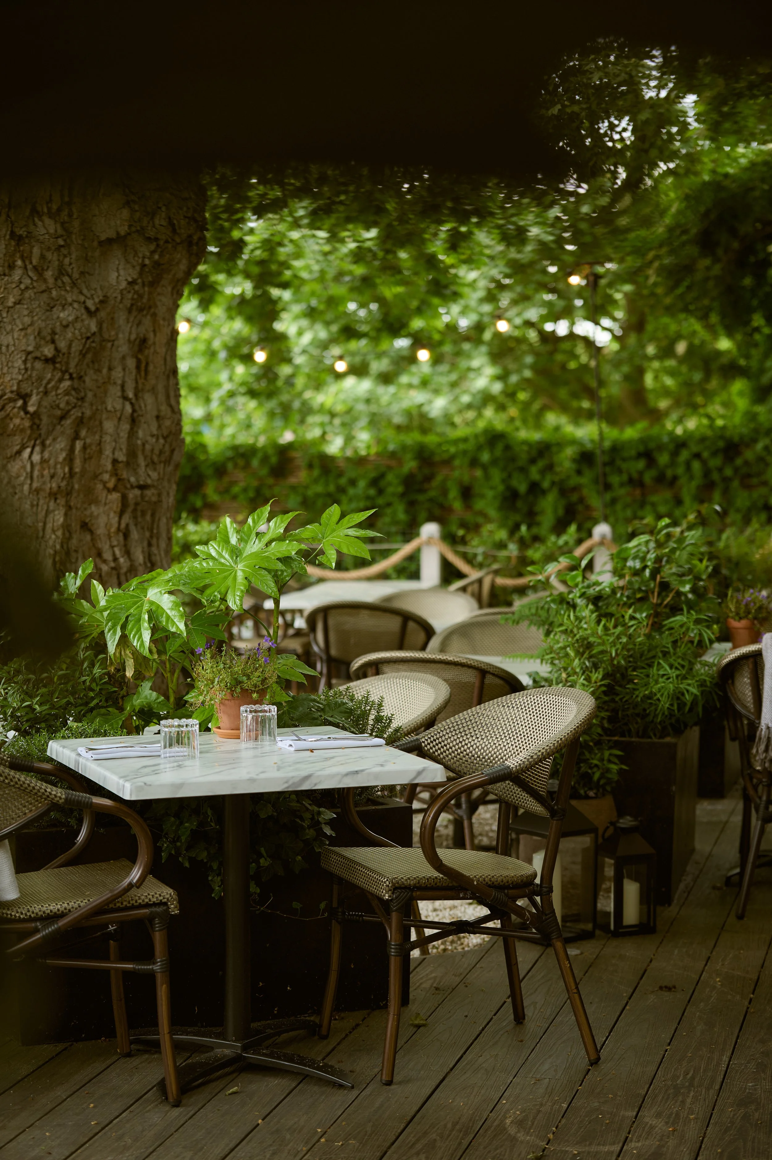 Gaucho-Richmond-Terrace-21May25-075-EH.jpg
