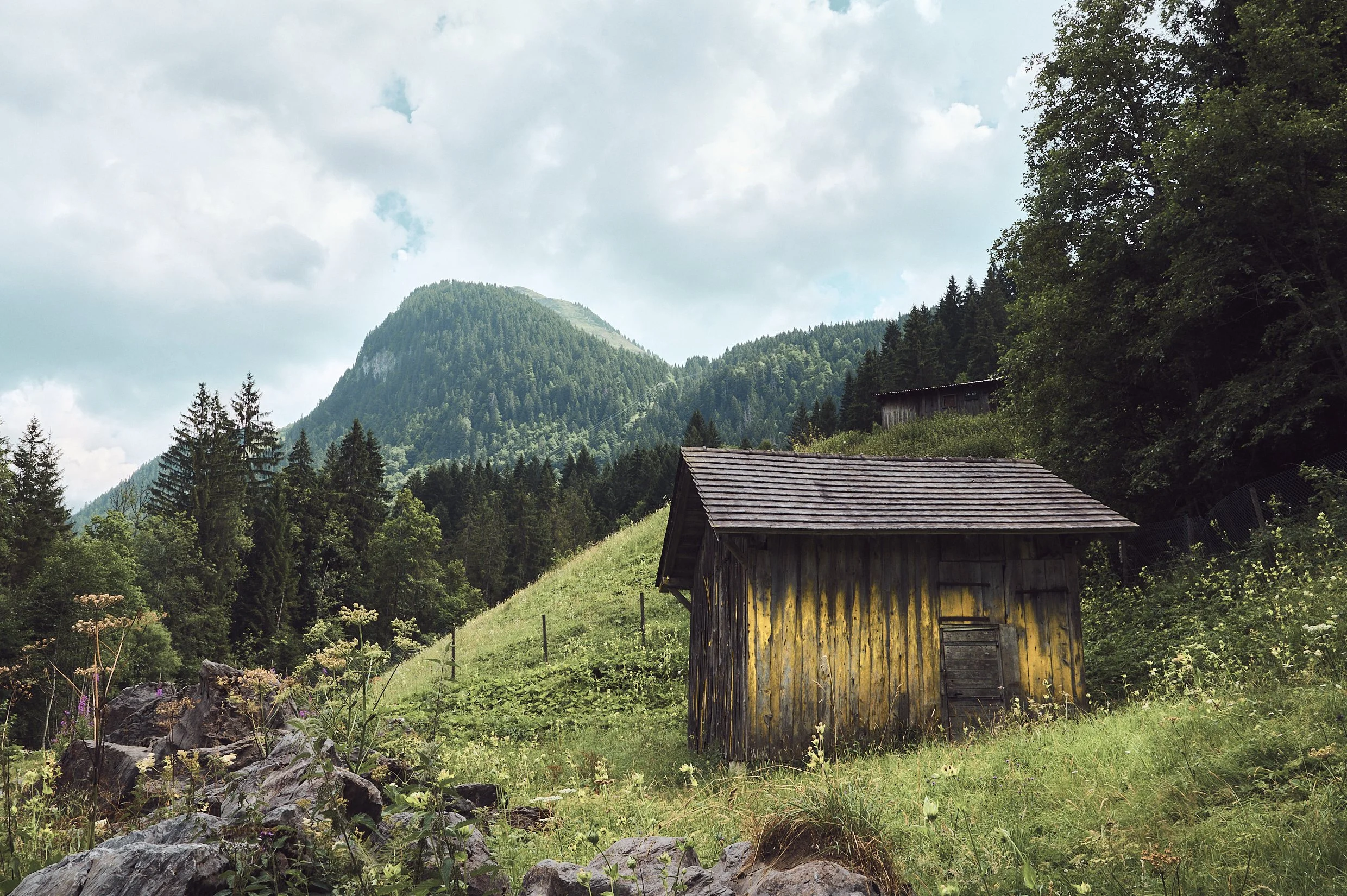 Morzine 2025-C1-EdHill-13-07-25-543Jul 13 2025.jpg