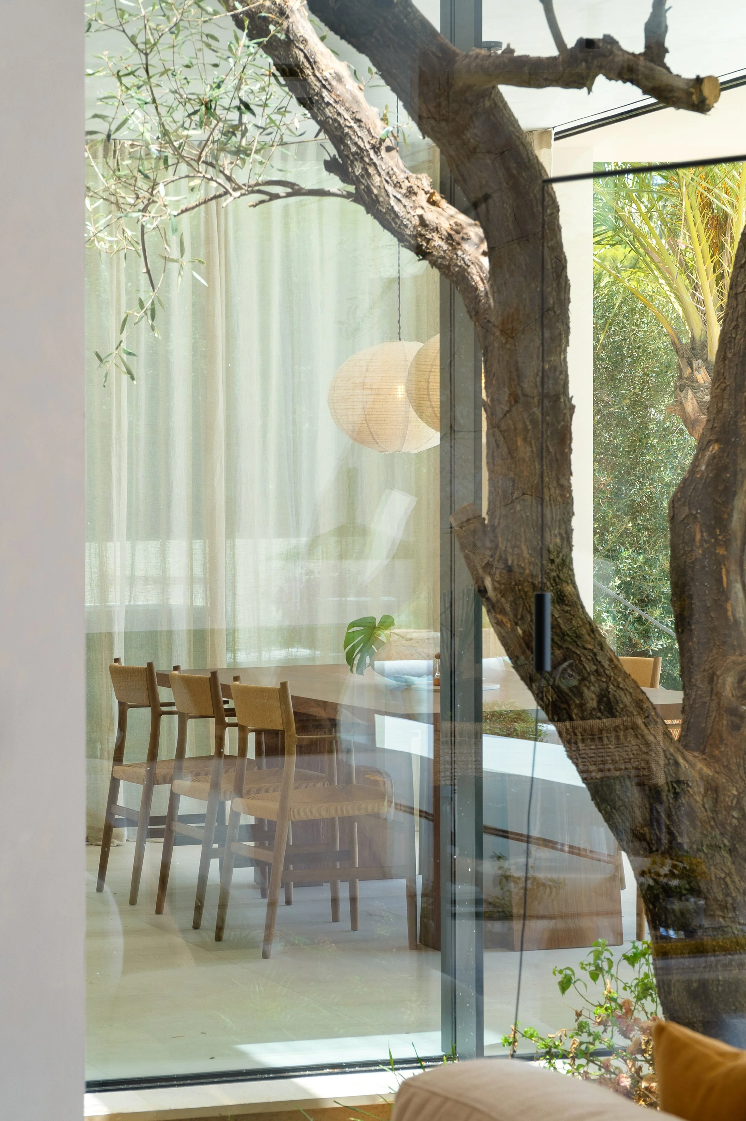 View through a glass wall showing interior of a dining room with wooden chairs, a table with a plant, and hanging paper lanterns, as well as large trees outside.
