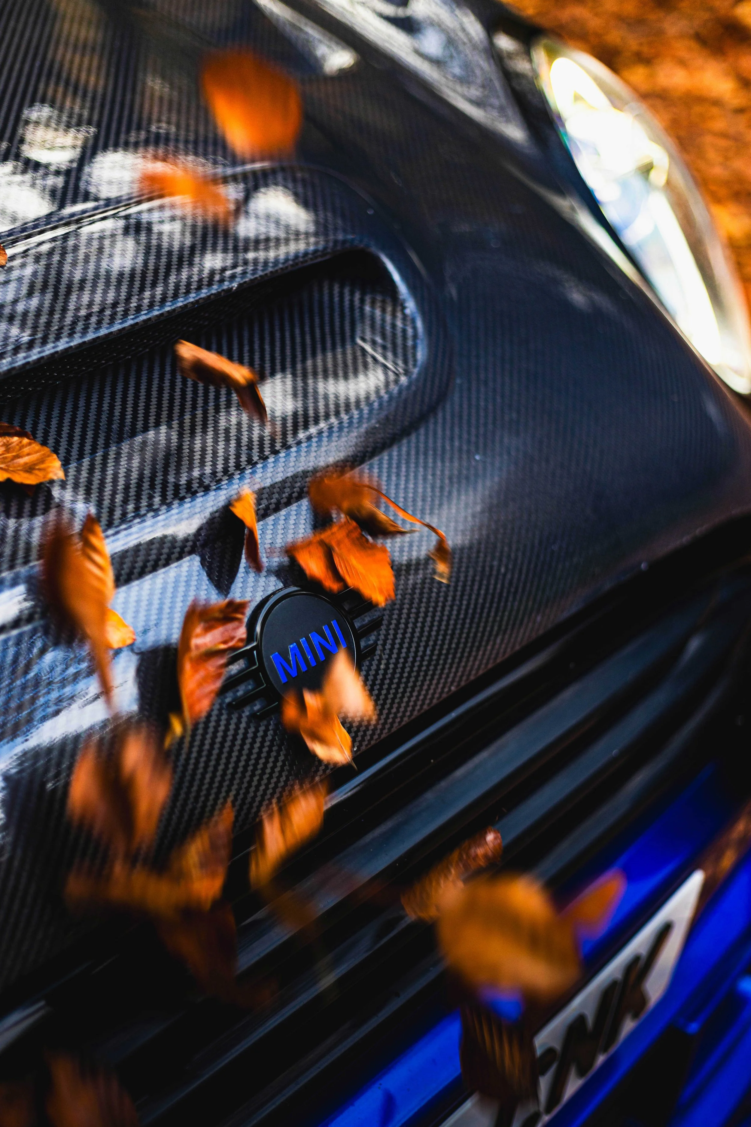 IMG_5977 edited LRC.jpg