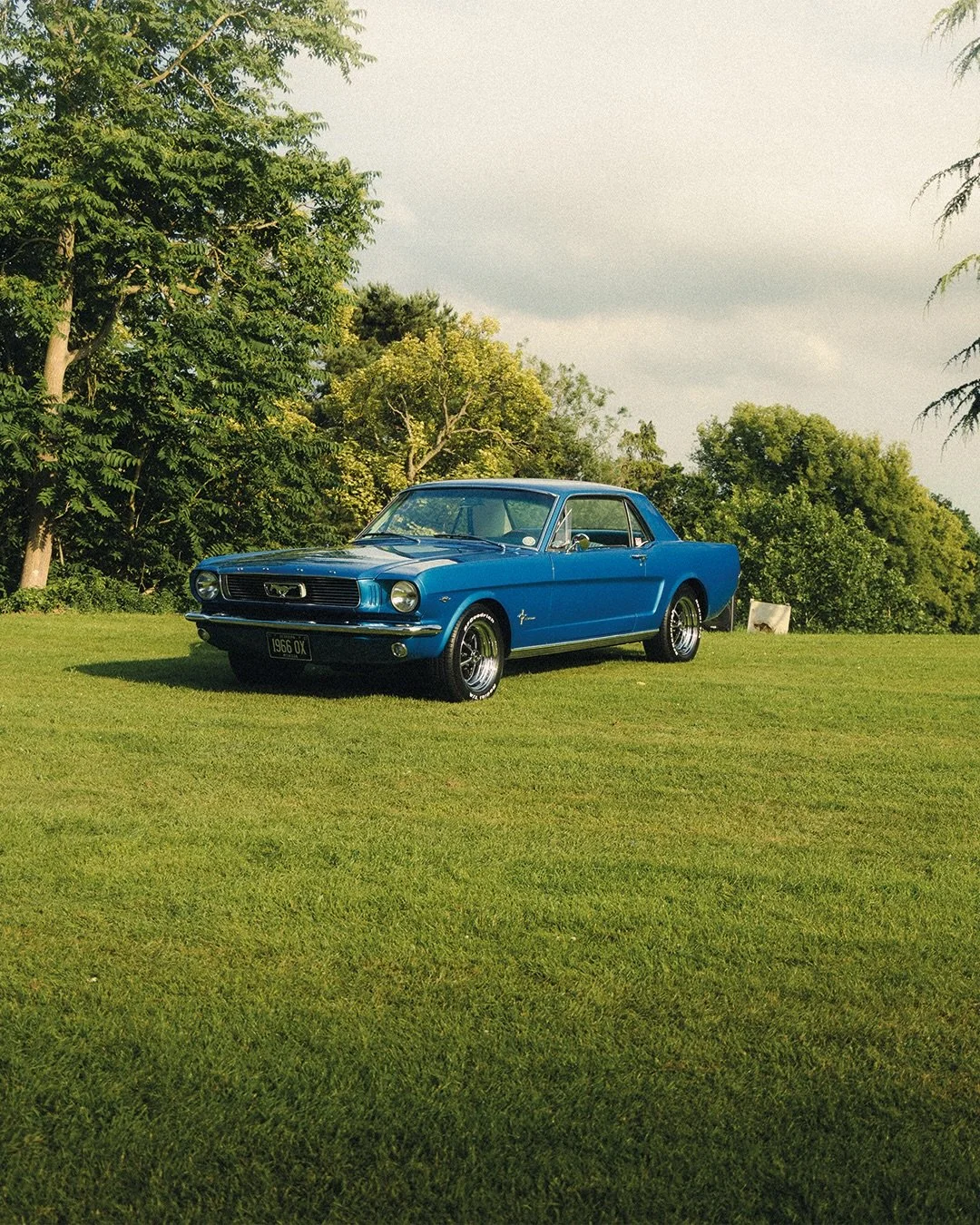 1966 Ford Mustang, true American motoring! Shot on a mix of digital and film (Portra 400).

&mdash;&mdash;&mdash;&mdash;&mdash;&mdash;&mdash;&mdash;&mdash;&mdash;&mdash;&mdash;&mdash;&mdash;&mdash;&mdash;&mdash;&mdash;&mdash;&mdash;&mdash;&mdash;&mda